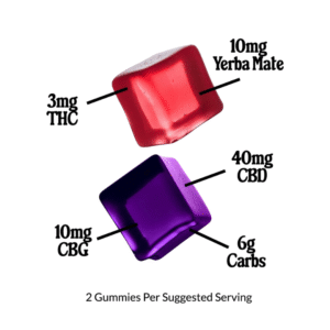 <b>Offfield</b> • High Performance Energy Gummies Variety Pack - Image 3